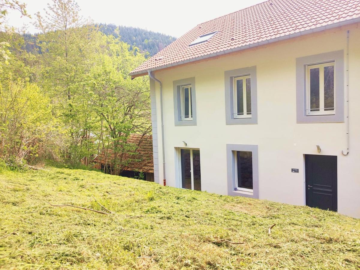 ⁂⁂ Le Chamois Appartement Cledicihome / Magnifique Vue Sur Les Montagnes / 4 Kms De Gerardmer ! ⁂⁂ Rochesson Exterior foto